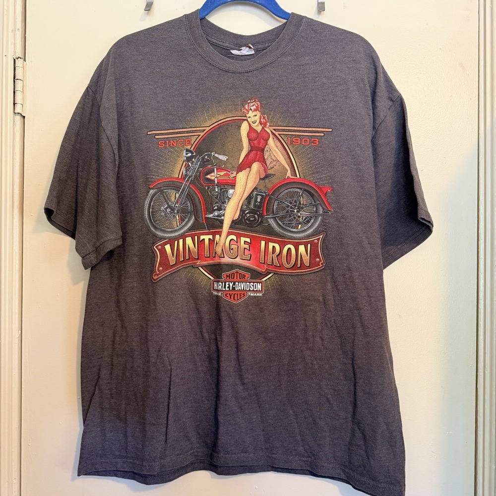 Men's Harley Davidson Vintage Iron Dark Grey Graphic T-Shirt Sz L Wisconsin